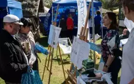 Galeria aktualności Dzień Chleba i Miodu 2025 9