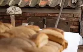 Galeria aktualności Dzień Chleba i Miodu 2025 22