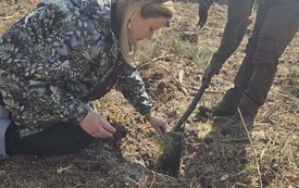 Galeria aktualności W Białog&oacute;rze powstał nowy fragment lasu. W akcji uczestniczyły dzieci i opiekunowie POW w Kłaninie 2