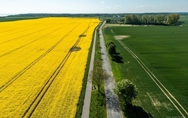 Galeria aktualności Kiedy ruszą prace na trasie Puck&ndash;Błądzikowo? Podpisano umowę z wykonawcą inwestycji 11