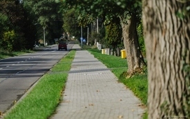 CHODNIK_STARZYNSKI_DWOR_FOT_KONRAD_KEDZIOR (14 z 1)